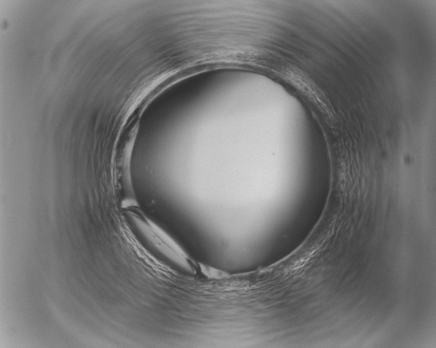 X0000053010884200507291705