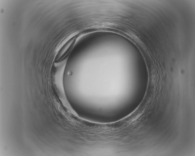 X0000053010885200507291705