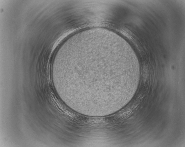 X0000053010886200507291705