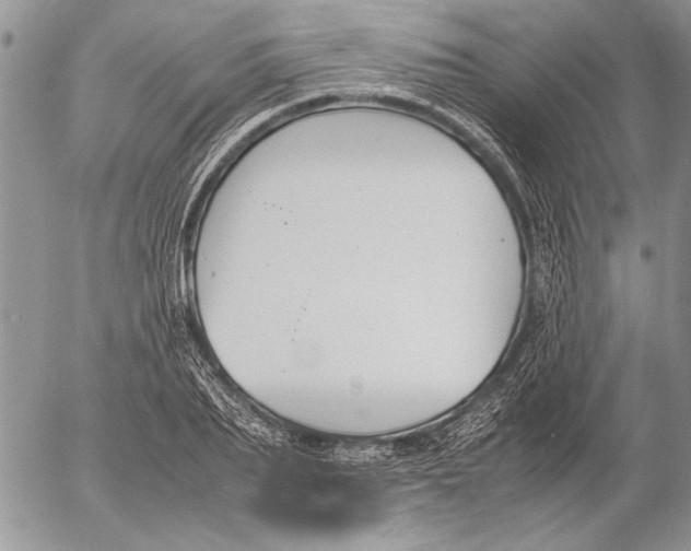 X0000053010887200507291705