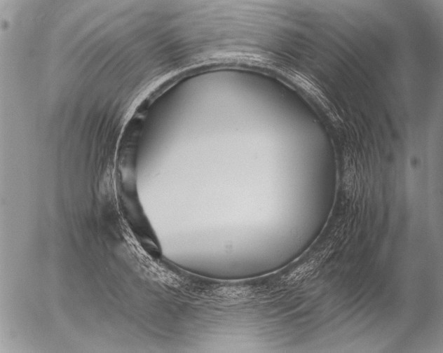 X0000053010888200507291705