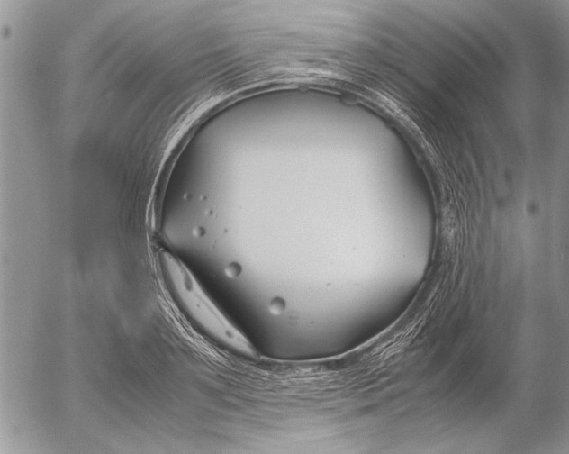 X0000053010891200507291705