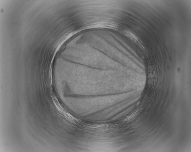 X0000053010892200507291705