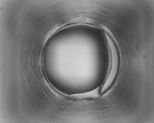 X0000053010893200507291705