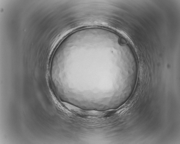 X0000053010895200507291705