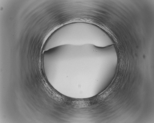 X0000053010896200507291705