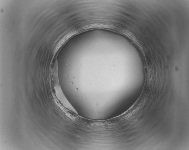 X0000053010898200507291705