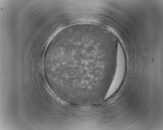 X0000053010899200507291705