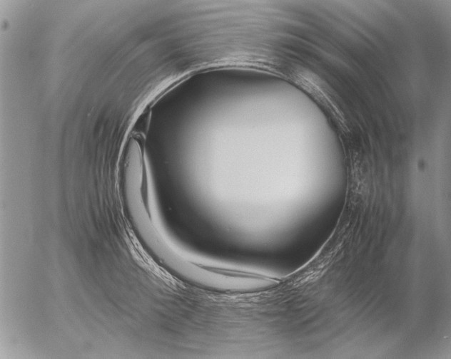 X0000053010900200507291705