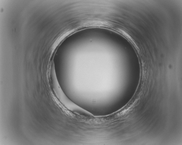 X0000053010901200507291705