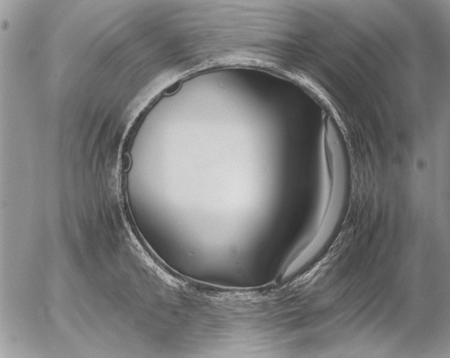 X0000053010902200507291705