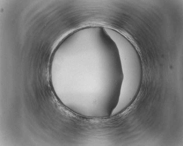 X0000053010904200507291705