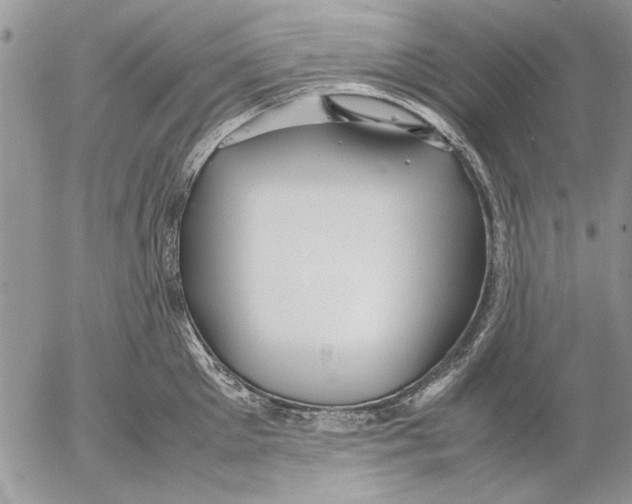 X0000053010905200507291705