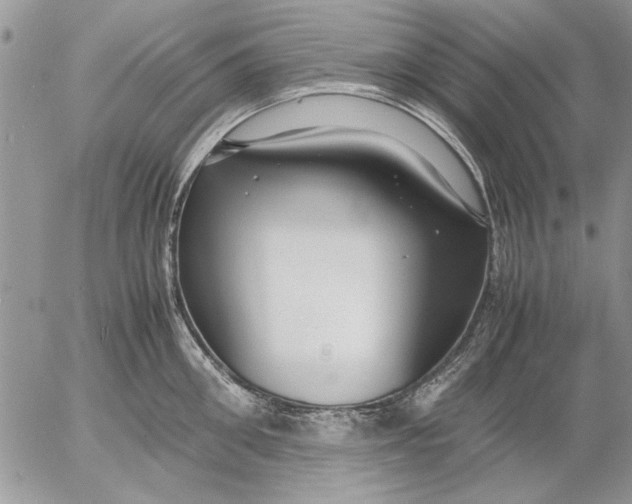 X0000053010906200507291704