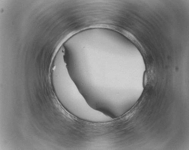 X0000053010908200507291704