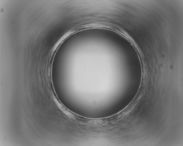 X0000053010909200507291704