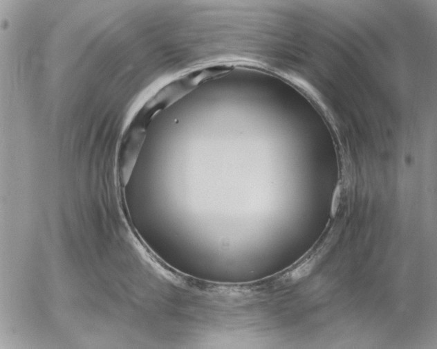 X0000053010910200507291704