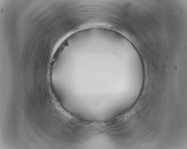 X0000053010912200507291704