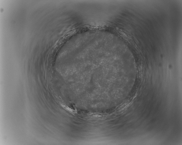 X0000053010913200507291704