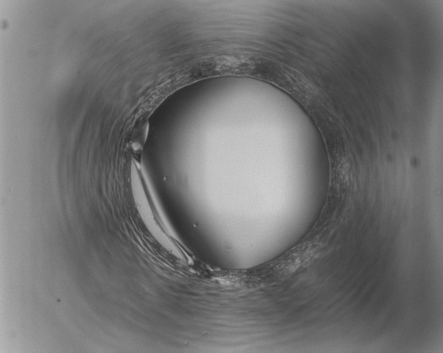 X0000053010914200507291704