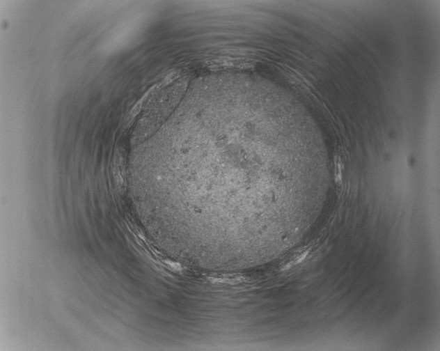 X0000053010915200507291704