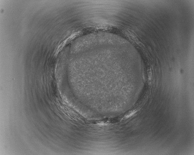 X0000053010916200507291704