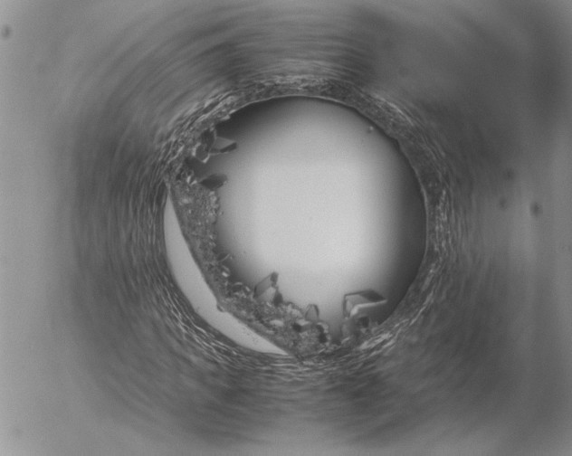 X0000053010917200507291704