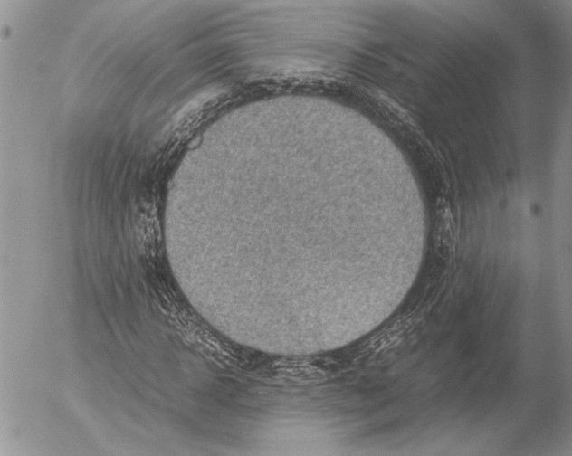 X0000053010918200507291704