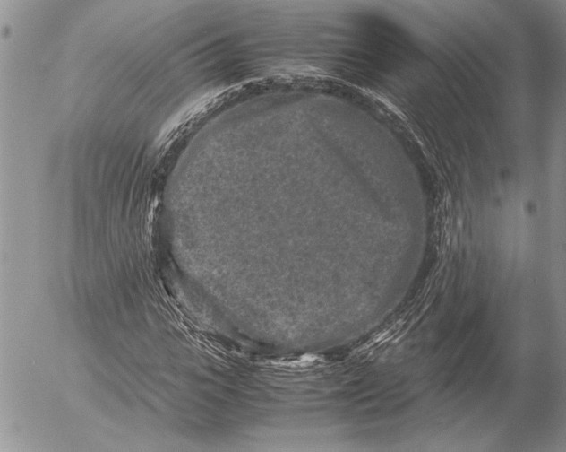 X0000053010919200507291704