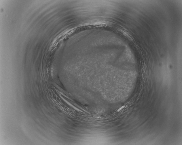 X0000053010920200507291704