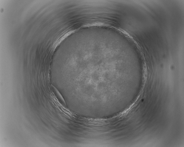 X0000053010921200507291704