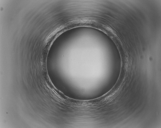 X0000053010922200507291704