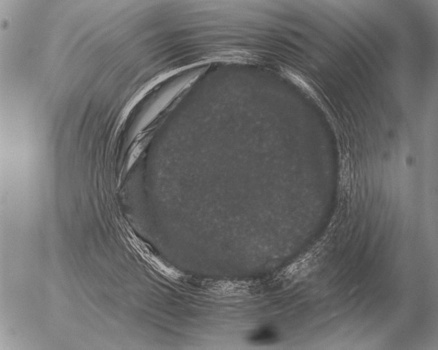 X0000053010923200507291704