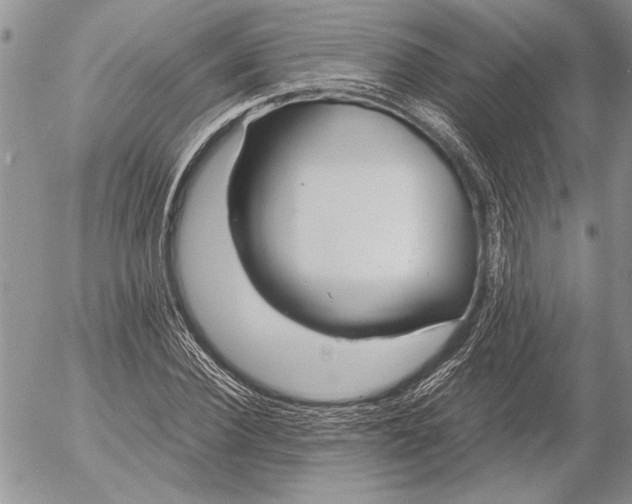 X0000053010924200507291704