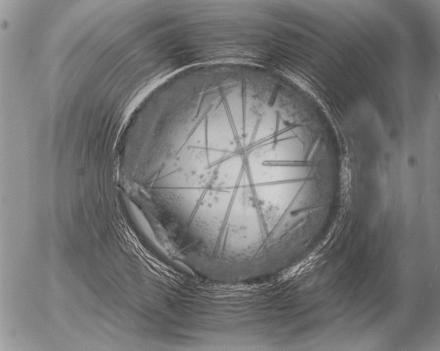 X0000053010925200507291704