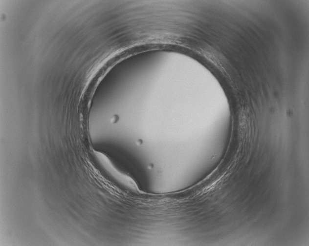 X0000053010926200507291704