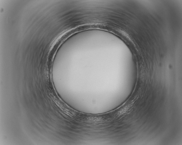 X0000053010927200507291704