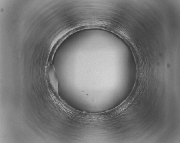 X0000053010928200507291704