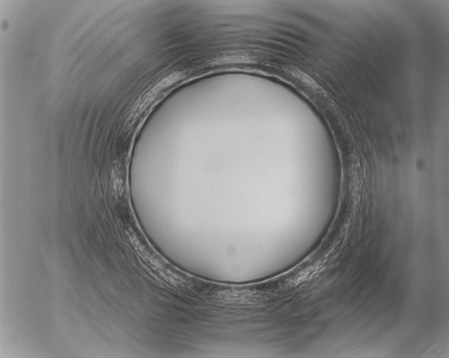 X0000053010929200507291704