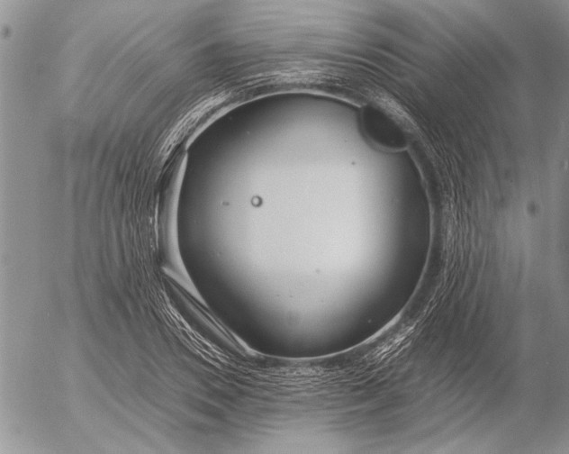 X0000053010930200507291704