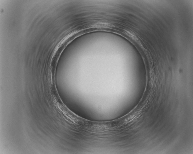 X0000053010931200507291704