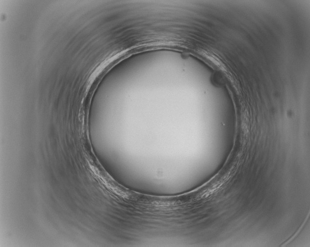 X0000053010933200507291704