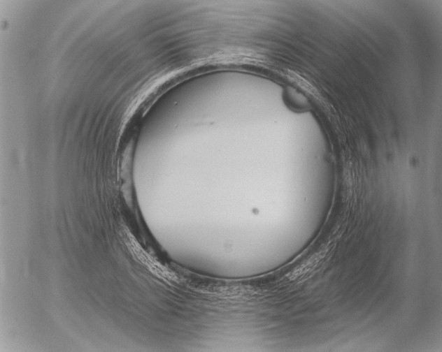 X0000053010934200507291704