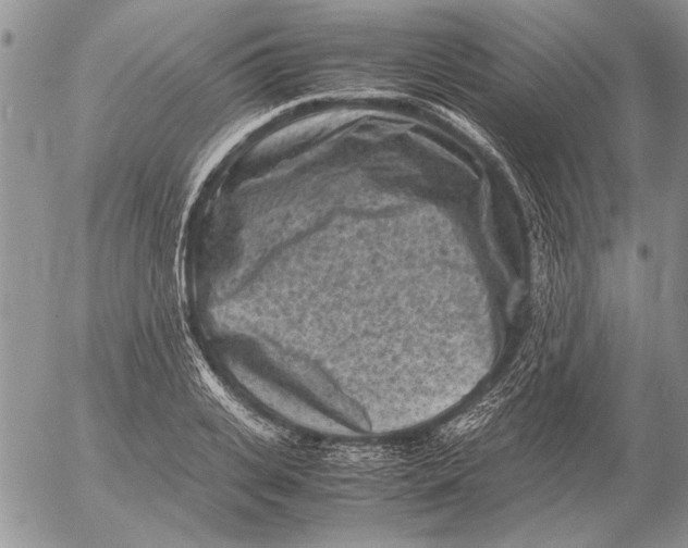 X0000053010935200507291704