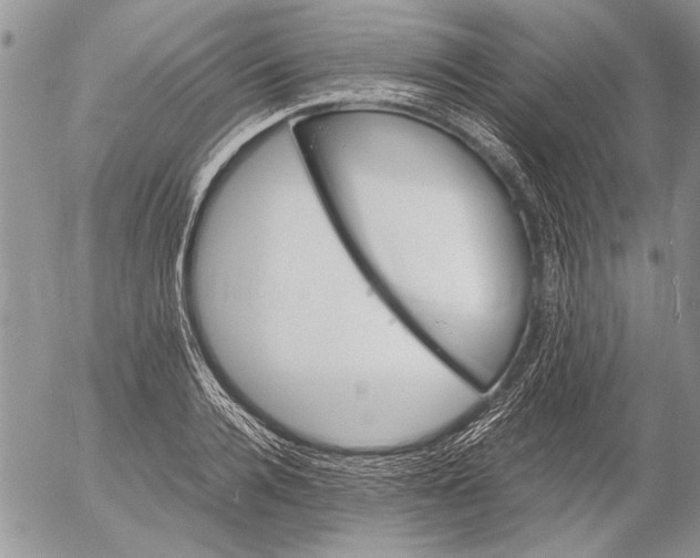 X0000053010936200507291704