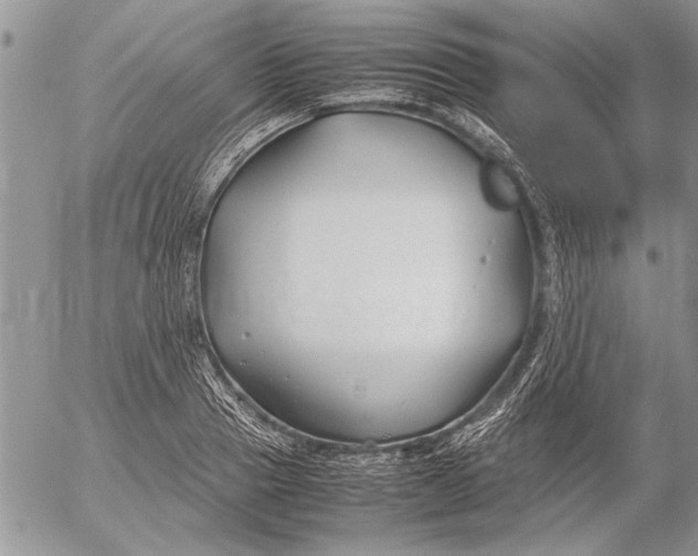 X0000053010937200507291704