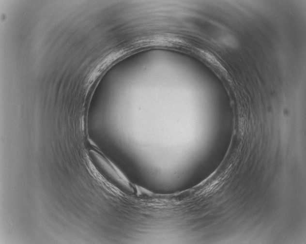 X0000053010938200507291704