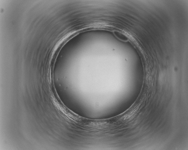 X0000053010939200507291704