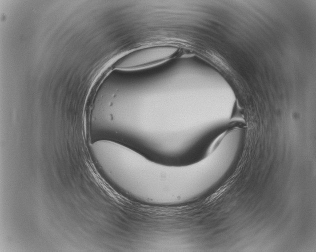 X0000053010940200507291704