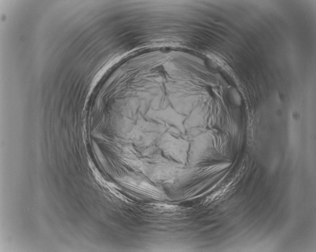 X0000053010941200507291704